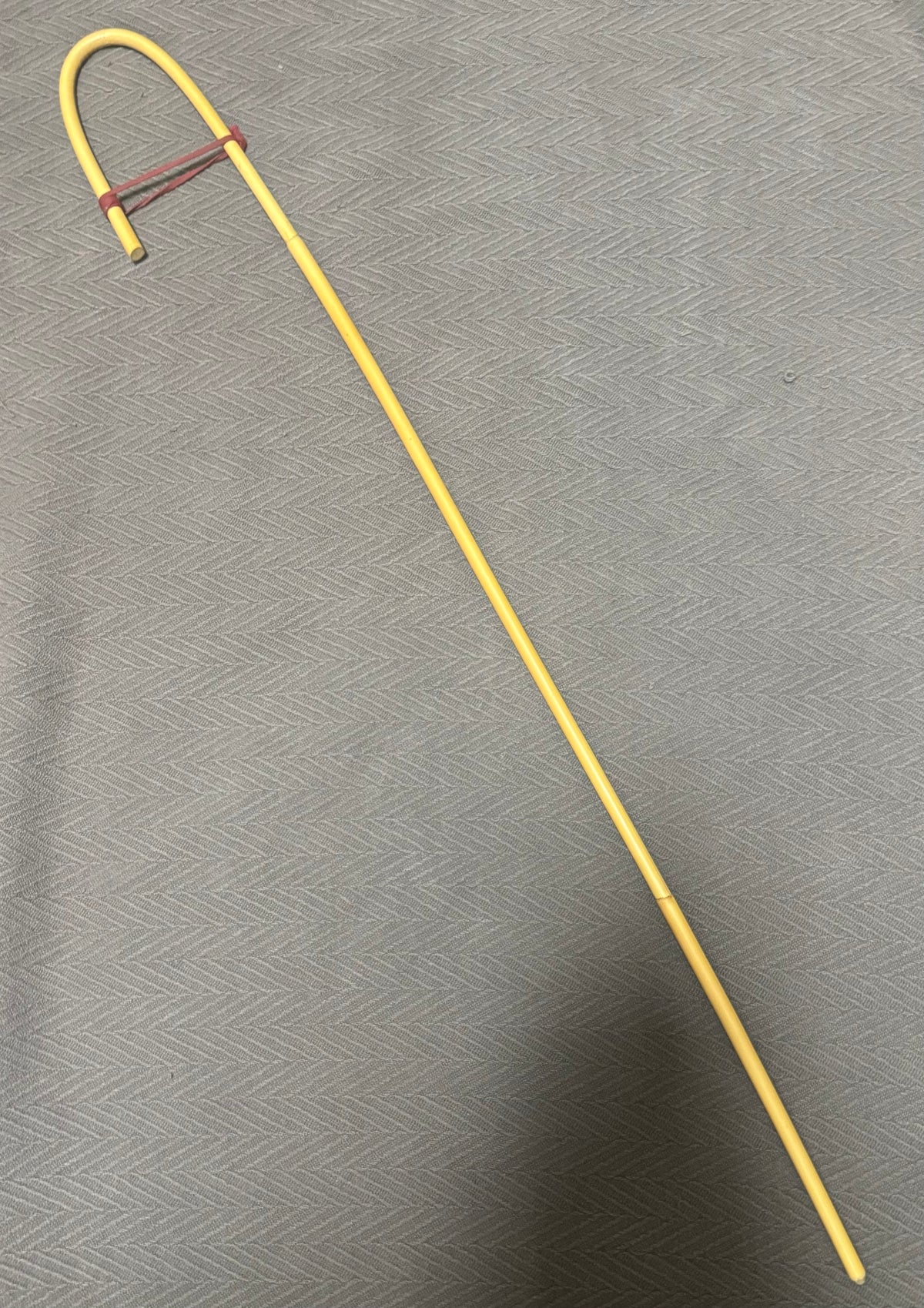 English Crook Handle Dragon Canes / Schoolmistress Canes
