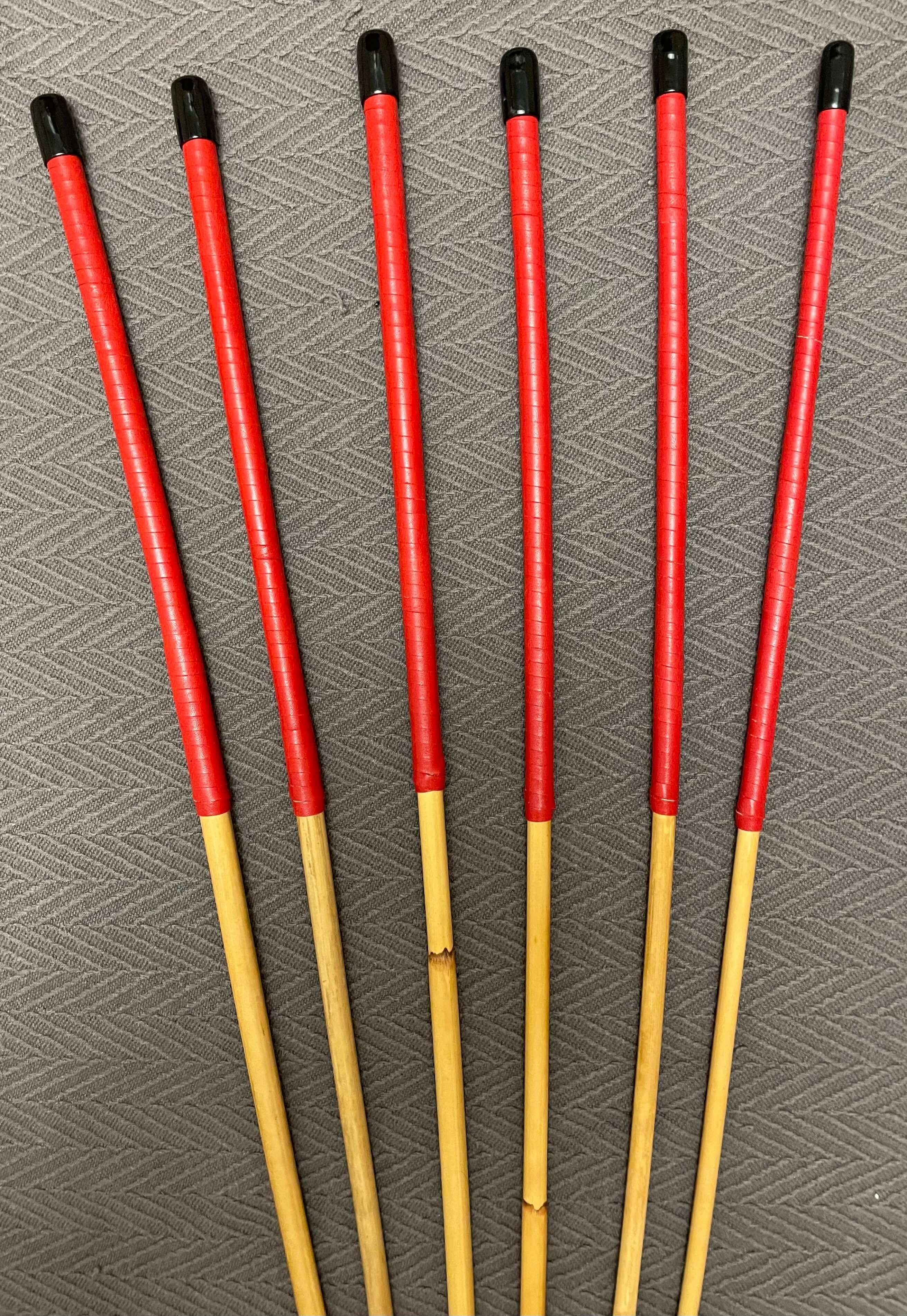 ProDomme / Pro Disciplinarian grade Dragon Rattan Cane Sets