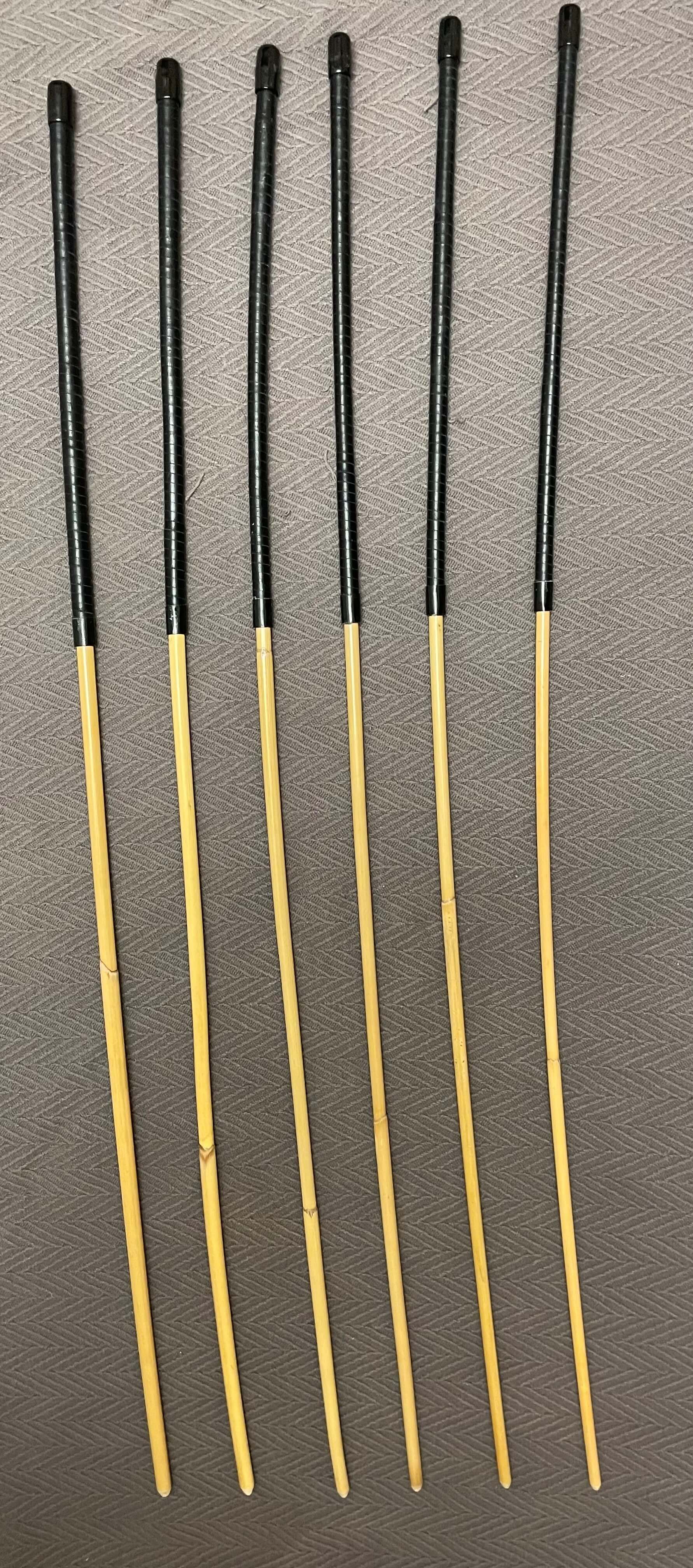 ProDomme / Pro Disciplinarian grade Dragon Rattan Cane Sets